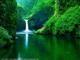 Nature Summer Desktop Wallpaper Pics