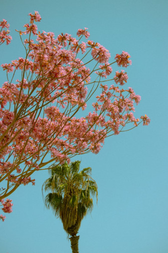 Best Ios Summer Wallpaper For Your Home Screen Aesthetic