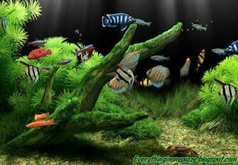 Dream Aquarium V1 Full V Everything In One