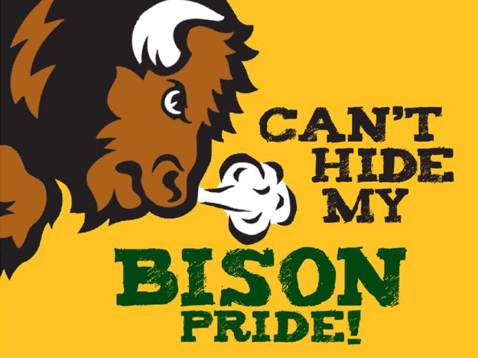 Ndsu Bison Football Love Hot Wallpaper