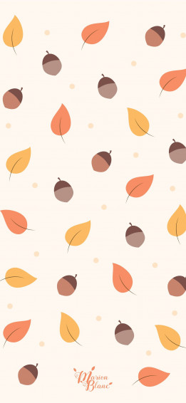 Best Fall iPhone HD Wallpaper