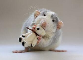 Gallery Utimate Desktop Wallpaper A Lovely Cute Mouse