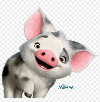 Moana Pig Pua Party Disney Love