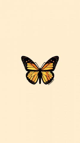 Yellow Orange Butterfly iPhone Wallpaper
