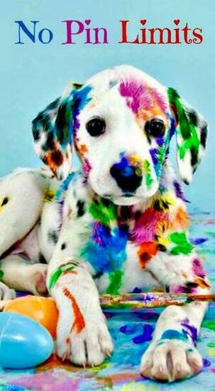 No Pin Limits Color My World Animals Cute Dogs