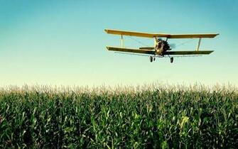 Biplane Wallpaper