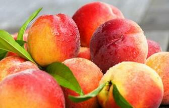 Nectarines 4k Ultra HD Wallpaper Background Image