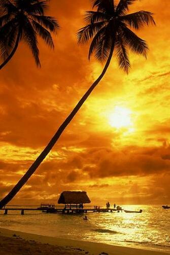 Tropical Sunset Wallpaper Beach