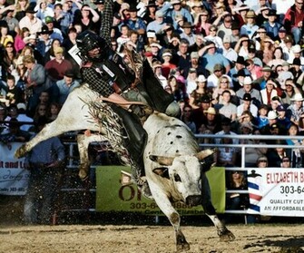 Bull Riding Background
