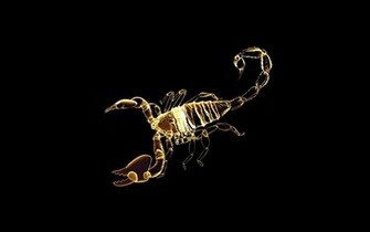 Scorpio Wide Wallpaper High Definition Quality