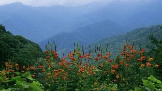 Smoky Mountains Spring Wallpaper On