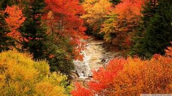 Blue Ridge Parkway In Fall Wallpaper Best Games