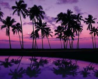 Back To Beach Background Pictures Purple