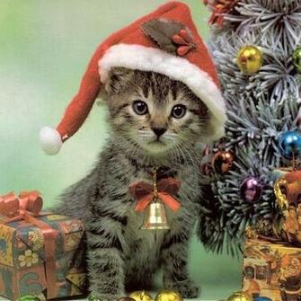 iPad Wallpaper Christmas Pets