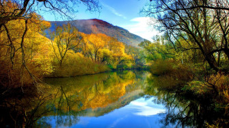 Full HD Wallpaper 1080p