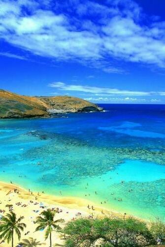 Waikiki Hawaii iPhone Wallpaper On