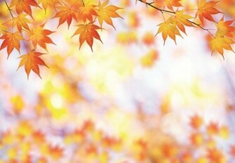 Farewell Image Background Layer9 Background