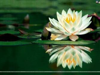 Full HD Wide Nature Wallpaper Image I Beautiful Photos