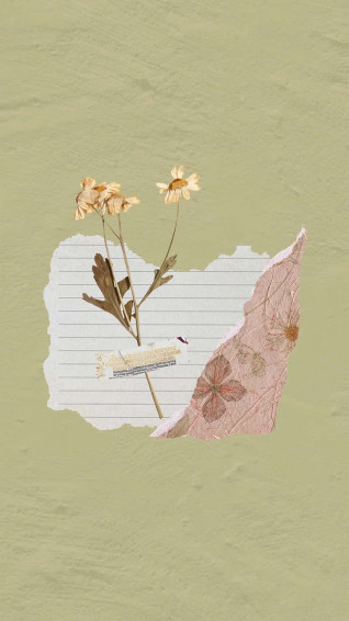 Minimalist Flower Aesthetic Wallpaper
