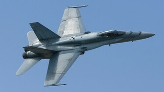 Hornet Wallpaper Desktop Background In HD