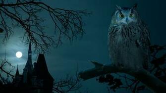 Here Are A Bunch Of Other Random Scary Halloween Desktop Background