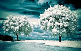Winter Landscape Nature Wallpaper