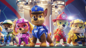 Paw Patrol Wallpaper