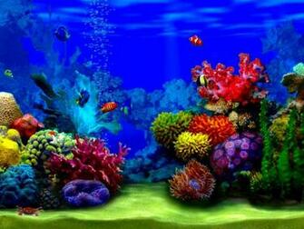 Aqurium Animals Fish HD Desktop Wallpaper Tags Colorful
