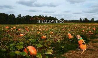 Halloween Wallpaper Desktop Background On Kate Net