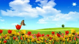 Summer Wallpaper For Desktop Loopele