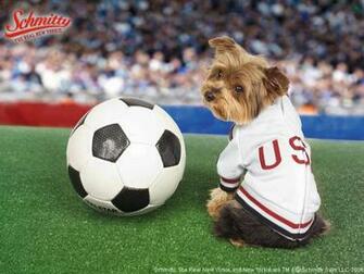 Schmitty Wallpaper Online