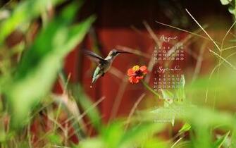 September Calendar Wallpaper