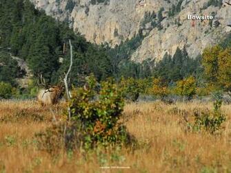 Bowhunting And Hunting Desktop Wallpaper iPad