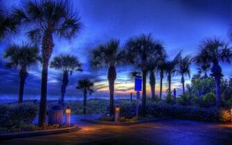 Beach Lights Night Nature Beaches HD Wallpaper