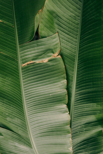 Top 4k iPhone Plus Wallpaper Full HD To Use