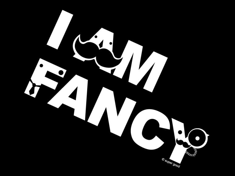 Le Moustache Image HD Wallpaper And Background