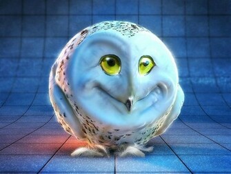 Weird Owl Face Computer Desktop Wallpaper Pictures Image