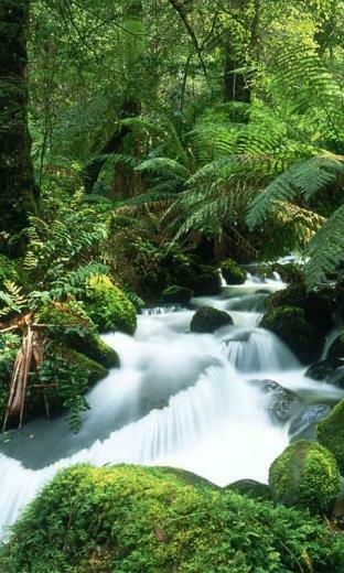 4d Waterfall Live Wallpaper Android Apps On Google Play