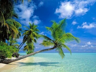 High Resolution Wallpaper Nature Large Size Landscape Screen