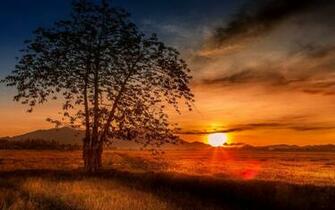 Malaysia Beautiful Full Screen Wallpaper Nature