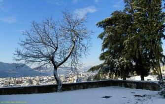 Winter Landscape Wallpaper Grasscloth
