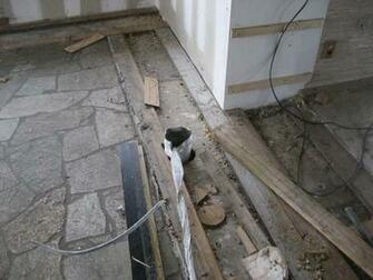 And We Discovered That Most Of The Bedrooms Bathrooms Had Been