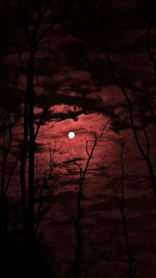 Vampire Aesthetic Wallpaper