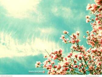 Flores Do C U 4k HD Wallpaper