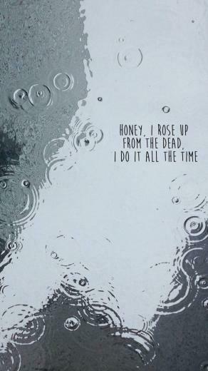Taylor Swift Look What You Made Me Do Music Lyrics iPhone