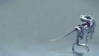 Dinosaur Skeleton Wallpaper And Image Pictures Photos