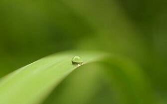 Vector Stock Photos HD Wallpaper