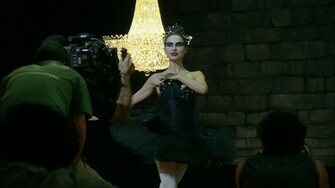 Black Swan Wallpaper