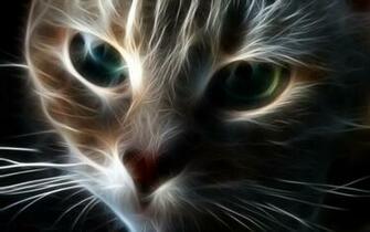 Abstract Ocicat Wallpaper By Jonasbass