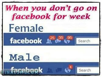 Funny Wallpaper Pictures